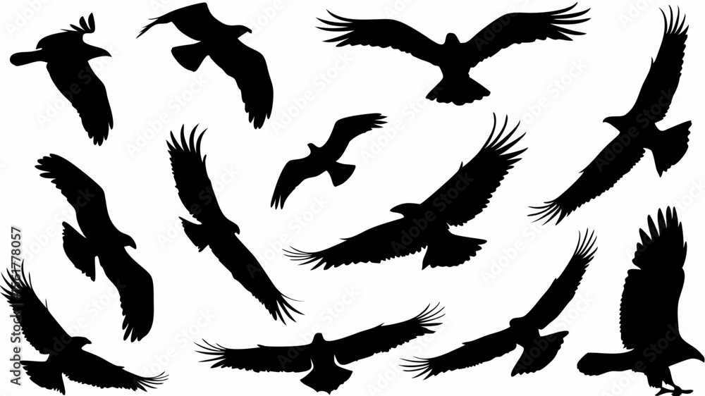 Poster silhouette illustration showing multiple eagles in flight against a white background design element