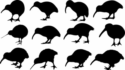 Silhouette depictions of kiwi birds in various poses and positions against a white background plain scene