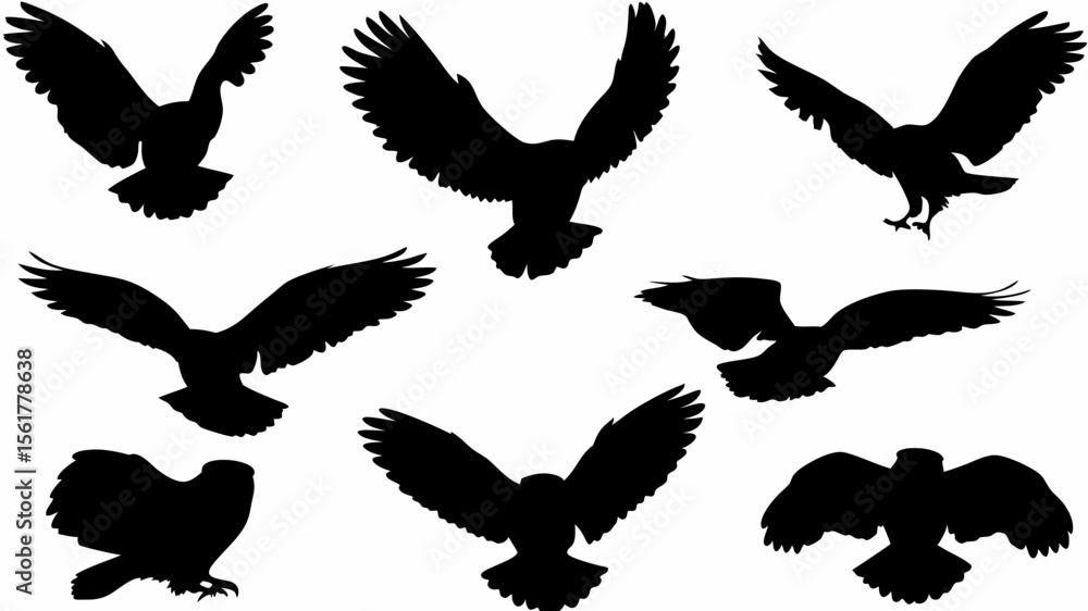 Poster silhouettes of owls in various flight poses against a white background creating a dynamic compositio