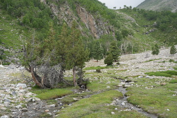 mountain landscape with river