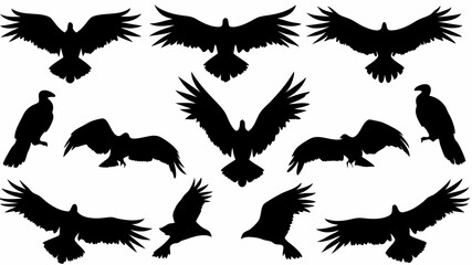Silhouette illustration featuring multiple eagles in various flying and perched positions