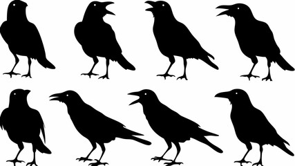 Silhouette illustration of eight crows standing in various poses on a white background design vector