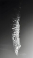 Fototapeta premium Explore the ethereal beauty of contrail clouds in black and white atmospheric sky view