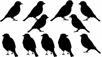 Silhouette depiction of ten small birds perched and standing in various positions on a white background