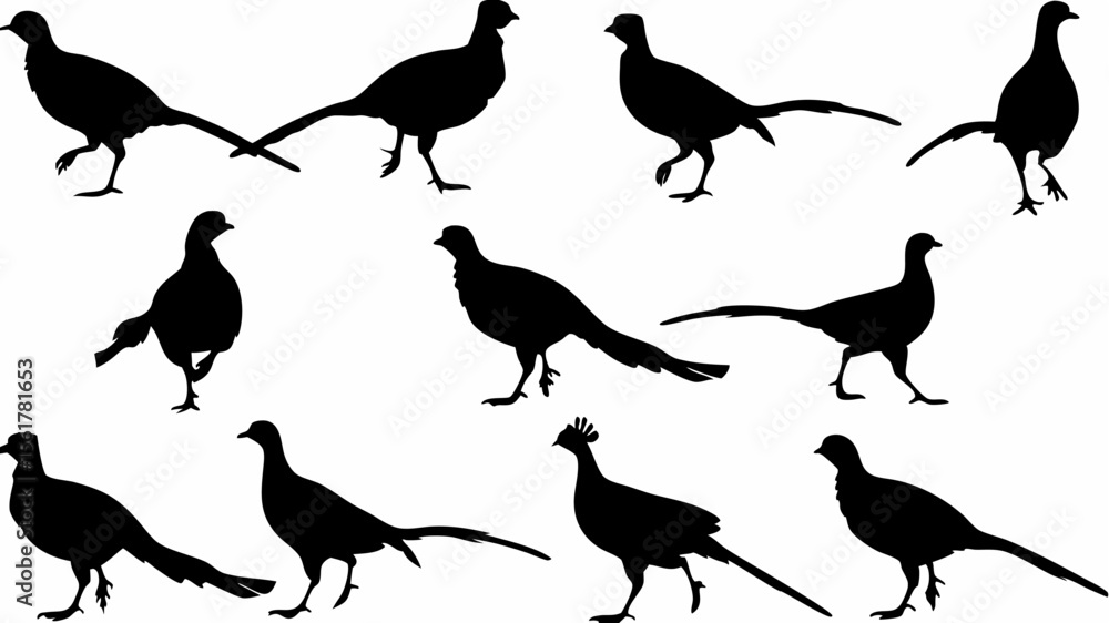 Poster silhouette depiction showing a group of pheasants in various poses and orientations on a white backg