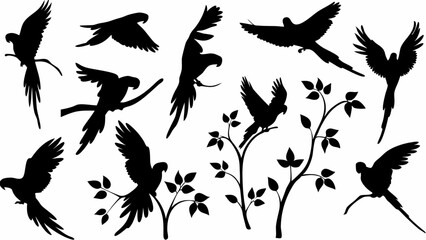 Silhouette illustration of parrots in various poses including flying and perching on branches