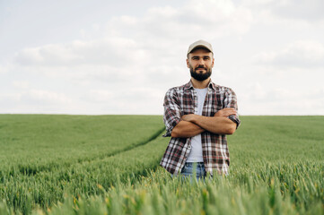 Standing with arms crossed. Man farmer is on the agricultural field