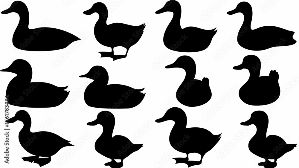 Poster silhouette collection of ducks in various poses and positions on a white background scene design vec