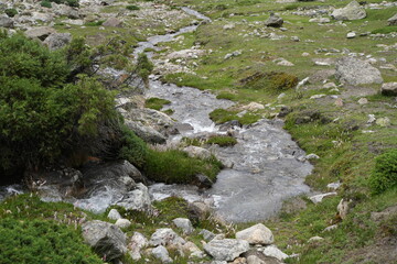 stream in the mountains