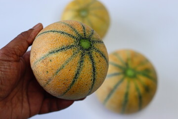 Whole Madhu muskmelons also known as cantaloupe or kharbooja with netted rind and subtle green...