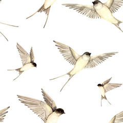 Watercolor swallows pattern on white background