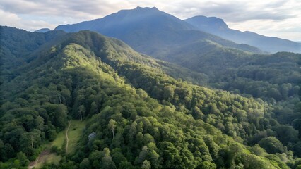 Fototapeta premium An aerial view captures a breathtaking landscape of lush green mountains and a dense forest under a partly cloudy sky