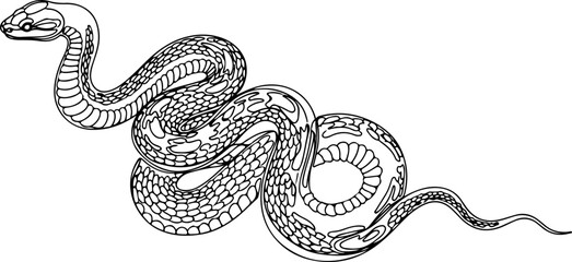 Abstract Snake Line Art – Continuous Minimalist Serpent Illustration