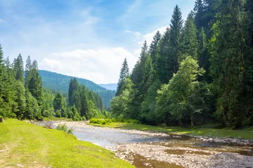 Gardinen mountainous landscape of ukraine with tereblya river. forest on the hill along the grassy shore. scenery beneath a blue sky with clouds on a sunny day in summer. beautiful green valley in europe © Pellinni