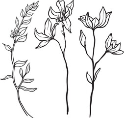 wild flowers branches stretch with soft curvature, each adorned with varied leaves—an airy composition that radiates organic flow and delicate hand-drawn charm