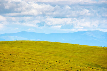 Obraz premium mountain landscape with green grass in summer. alpine meadow under blue sky with clouds. lush alps of the carpathian mount smooth. rolling hills