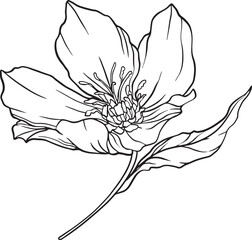 A single flower bloom with layered petals and visible stamen unfurls in detailed linework its flowing form and slender stem evoke delicacy, depth, and organic elegance