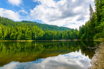 remote mountain landscape with forest lake in summer. travel nature background of synevyr national...