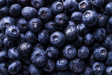 Fresh Organic Blueberries Close-Up Texture