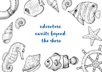 Vintage hand-drawn marine illustrations featuring an seahorse, aquarium fish, seashells, starfish, and more. Vector illustration. Detailed ink sketch style with coastal vibes.