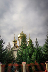Orthodox church domes behind trees, overcast sky. Religious architecture.