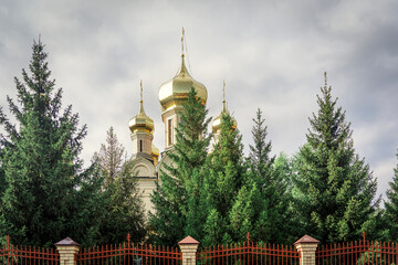Orthodox church domes behind trees, overcast sky. Religious architecture.