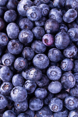 Close-up of Fresh Ripe Blueberries with One Purple Berry, Vertical Macro Food Background