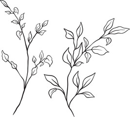 Two graceful branches stretch with soft curvature, each adorned with varied leaves an airy composition that radiates organic flow and delicate hand-drawn charm