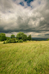 green field and cloudy sky