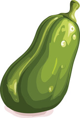 illustration of a vegetable marrow