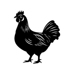 Chicken Vector Silhouette