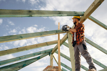 Engineer is high up with chainsaw. Construction worker is on the roof of a house