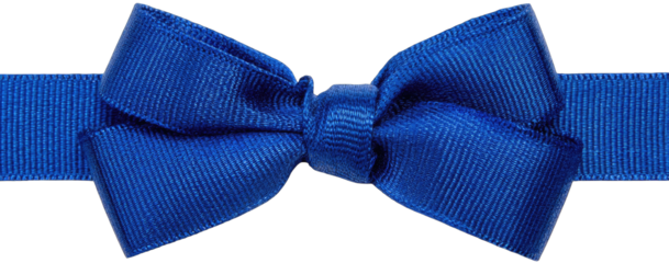 Blue Bow Isolated on Transparent Background