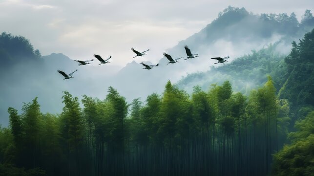 A group of cranes flying over a bamboo forest