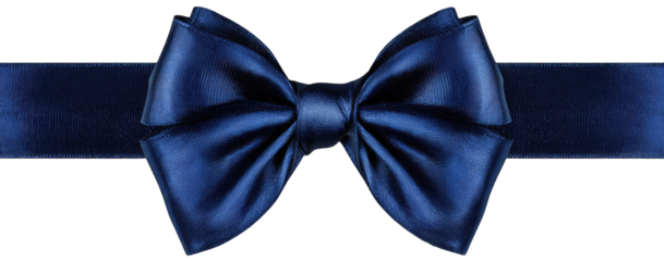 Elegant Blue Bow and Ribbon