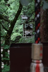 岩の上にある社を参拝する