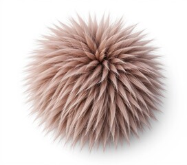 Soft brown balls shape with fur. 3d furry texture design element isolated on white background. Adorned with a unique fur texture