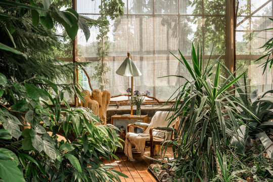 Rustic greenhouse reading nook with tropical foliage for concepts of comfort, serenity and eco-friendly interior