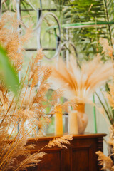 Pampas grass with candles and vintage furniture for concept of bohemian decor and botanical...