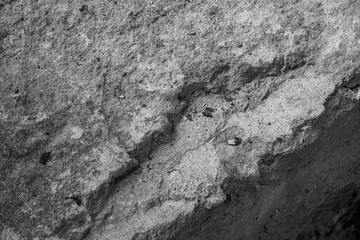 Cracked concrete with green moss for concepts of erosion, decay and natural textures