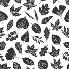 Seamless pattern with black silhouette leaves on white background - leaf of maple, oak, linden, aspen, ginkgo, and others. Print for textile, package, and wrapping paper. Vector illustration