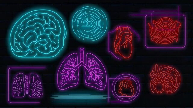 Displaying neon medical icons pulsing on brick wall, showing brain lungs hearts intestines radar