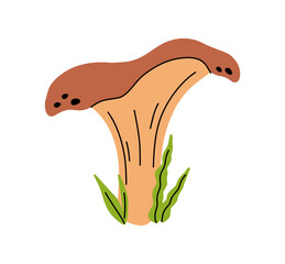 Mushroom. Orange mushroom in flat style. Chanterelle.