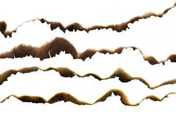 Set of burnt paper edges and borders with charred effects, isolated on white background with...