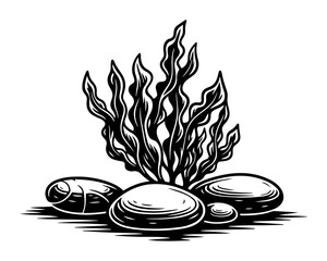 underwater seaweed and stones vector illustration © Luka