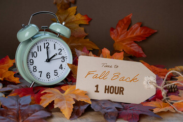 Autumn time change concept.  Fall Back 1 Hour message tag with alarm clock surrounded by colorful...