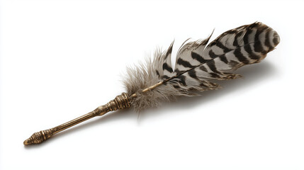 Feather quill resting elegantly on a surface showcasing its intricate patterns and design elements