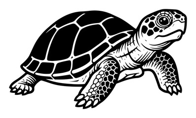 detailed turtle drawing in black and white vector