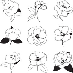 Camellia Black Line Editable Icons set 