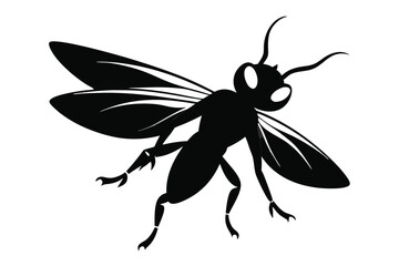 Obraz premium Vector silhouette of a flying insect featuring black outline for various design projects